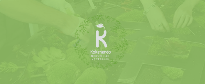 Kokenendo, création de nom et UX Design – EKELA marketing & digital kokenendo-references