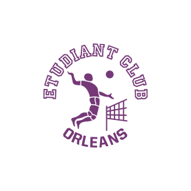 logo-eco-volley